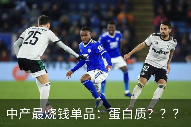 中产最烧钱单品：蛋白质？？？