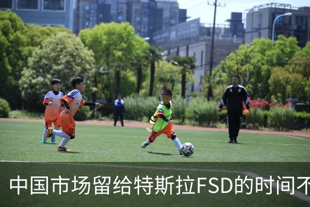 中国市场留给特斯拉FSD的时间不多了？