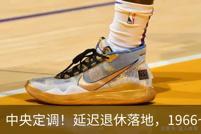 中央定调！延迟退休落地，1966~1968年出生的，退休反而更受益