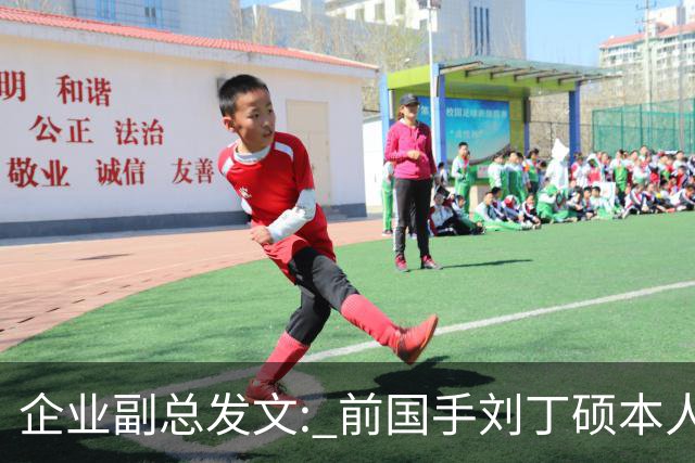 企业副总发文: 前国手刘丁硕本人就是饭圈，一直在给乒乓饭圈续命