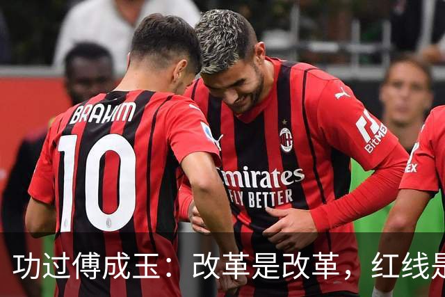 功过傅成玉：改革是改革，红线是红线