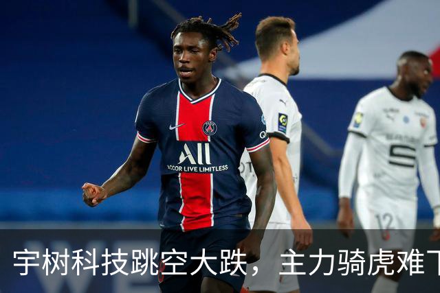 宇树科技跳空大跌，主力骑虎难下，硬着头皮拉，但依然无济于事！
