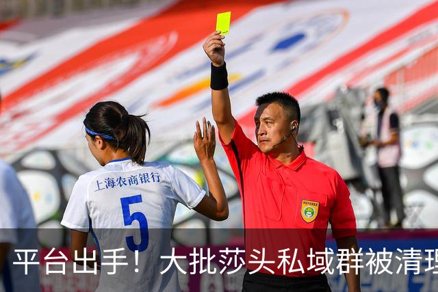 平台出手！大批莎头私域群被清理，饭圈乱象整治，全网纷纷叫好