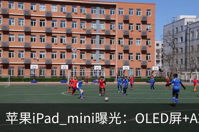 苹果iPad mini曝光：OLED屏+A20芯，售价或涨至799美元