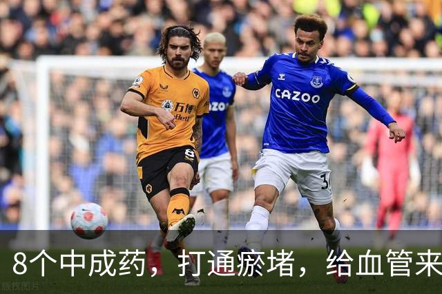 8个中成药，打通瘀堵，给血管来个“大扫除”！瘀血一通，百病无踪