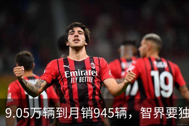 9.05万辆到月销945辆，智界要独立造车了